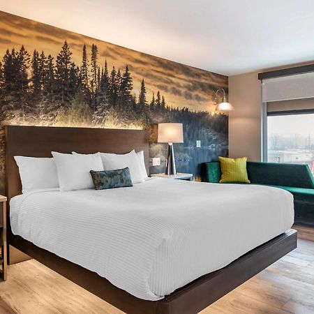 Cambria Hotel Shelby Township - Detroit Utica Shelby Twp Buitenkant foto