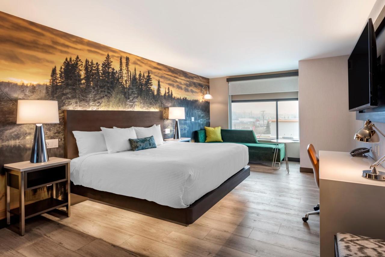 Cambria Hotel Shelby Township - Detroit Utica Shelby Twp Buitenkant foto