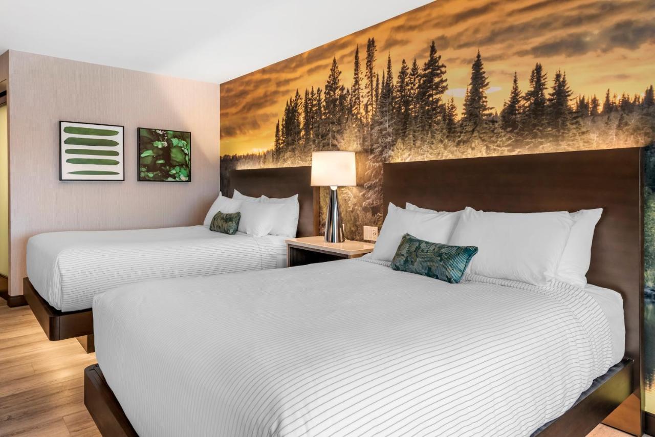 Cambria Hotel Shelby Township - Detroit Utica Shelby Twp Buitenkant foto
