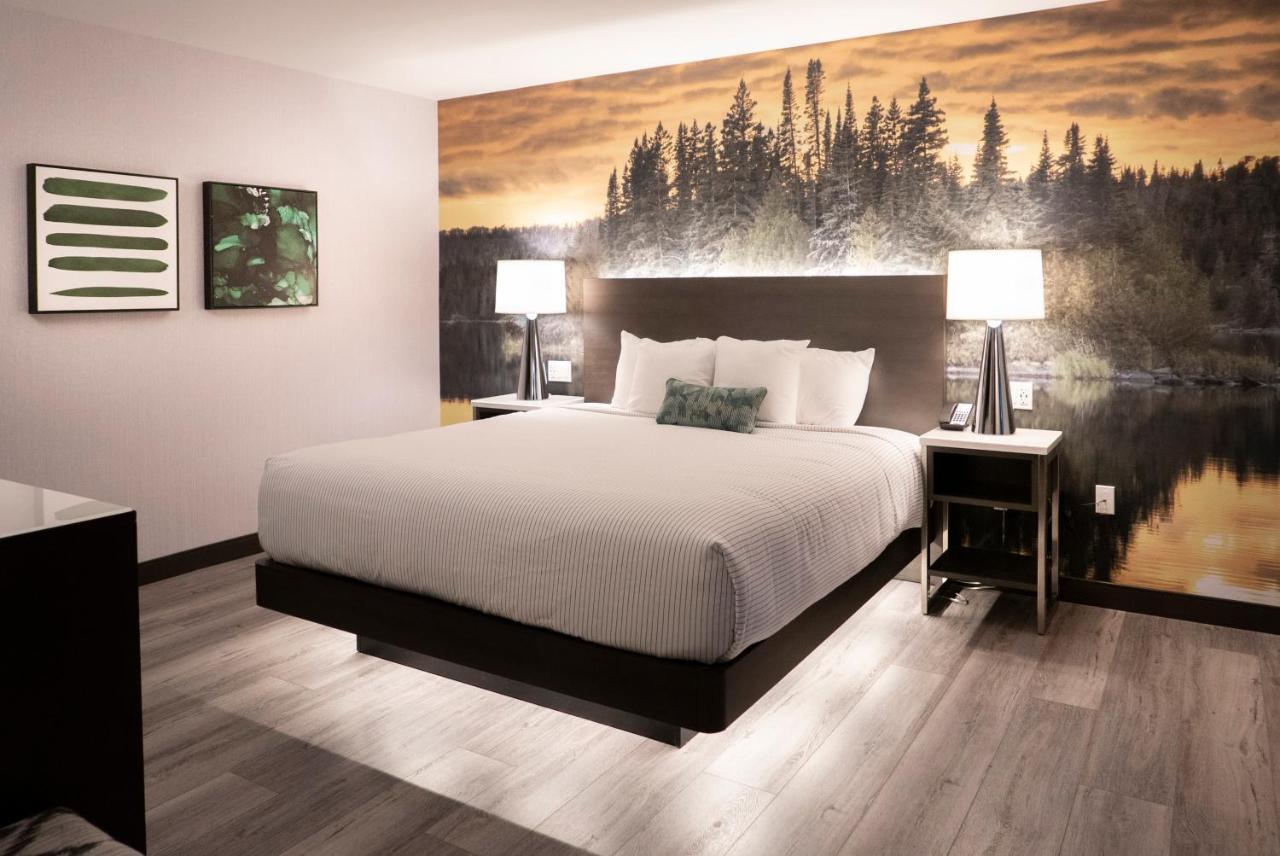 Cambria Hotel Shelby Township - Detroit Utica Shelby Twp Buitenkant foto