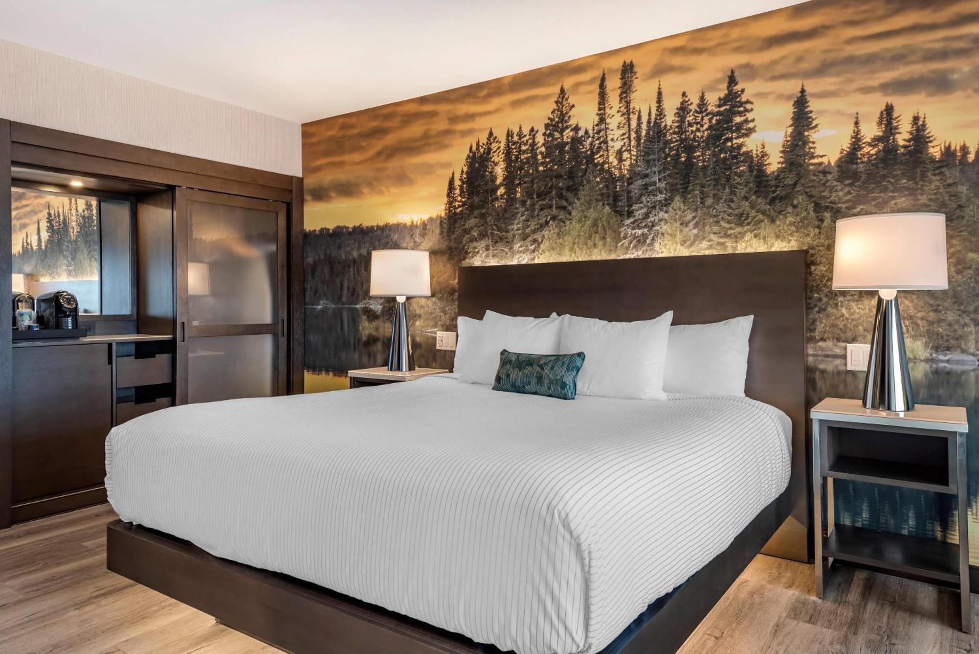 Cambria Hotel Shelby Township - Detroit Utica Shelby Twp Buitenkant foto