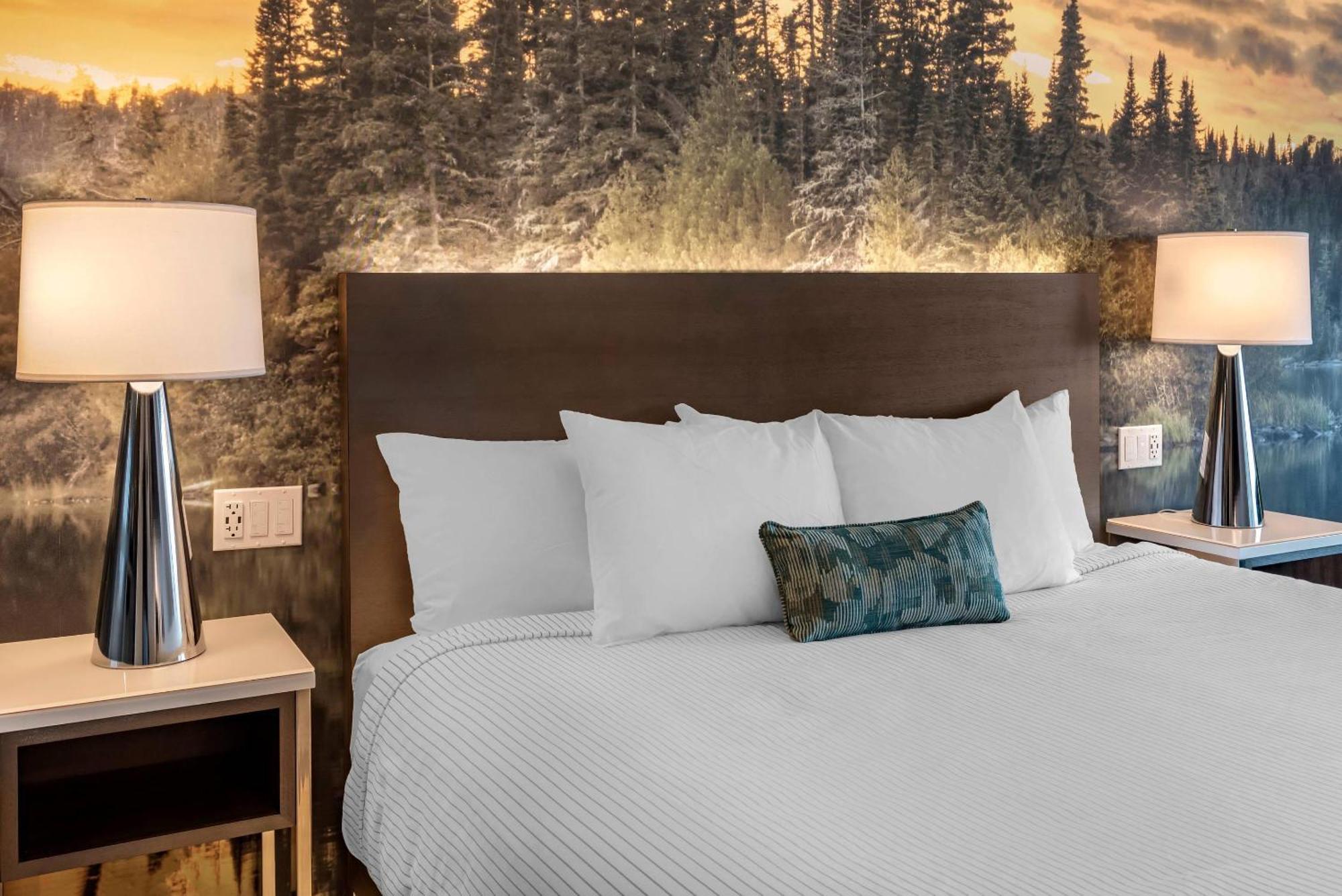 Cambria Hotel Shelby Township - Detroit Utica Shelby Twp Buitenkant foto