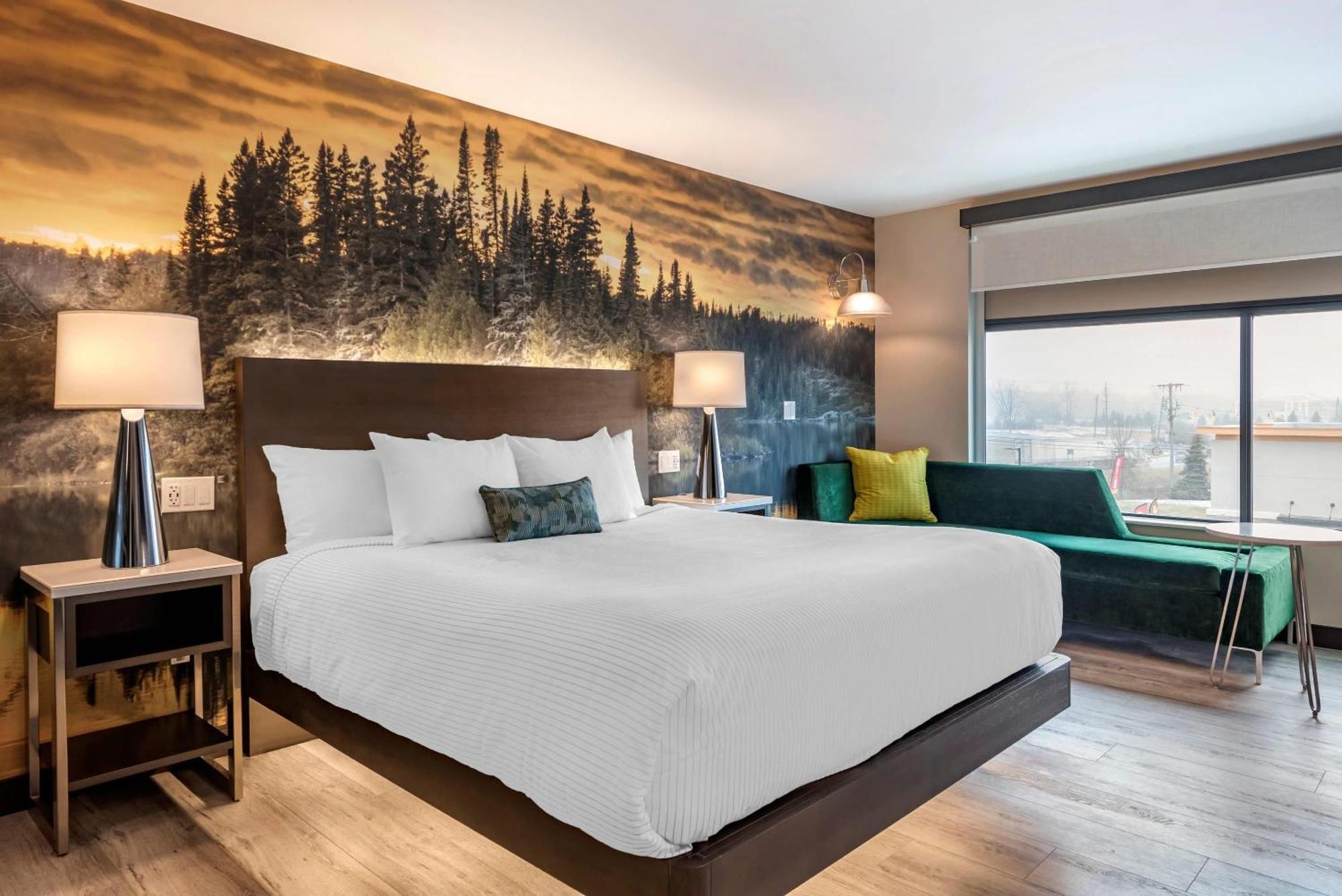 Cambria Hotel Shelby Township - Detroit Utica Shelby Twp Buitenkant foto
